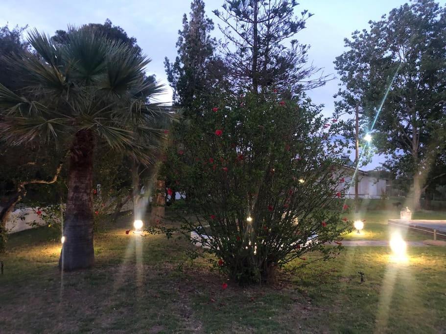 Villa Anastasia! In Strofylia Pine Forest!!! Manolas Luaran gambar