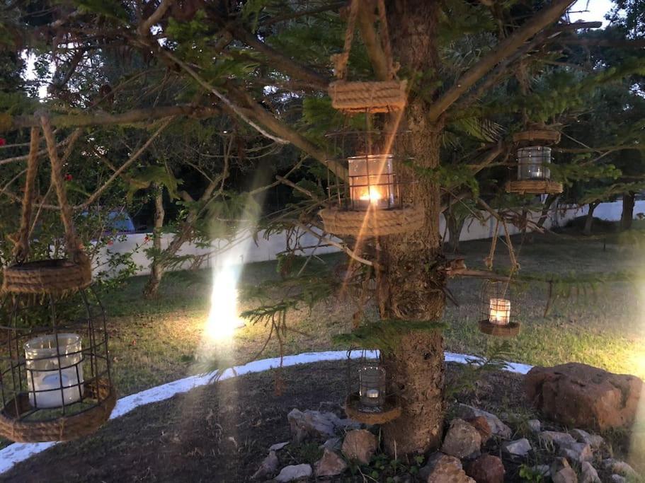 Villa Anastasia! In Strofylia Pine Forest!!! Manolas Luaran gambar