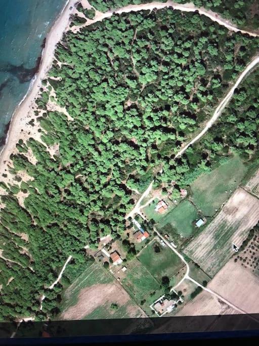 Villa Anastasia! In Strofylia Pine Forest!!! Manolas Luaran gambar